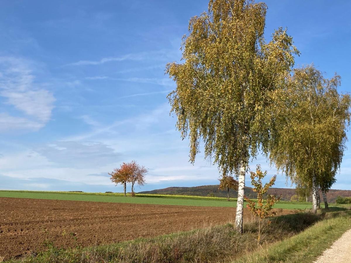 Ferienwohnung Franken Hallerndorf 外观 照片
